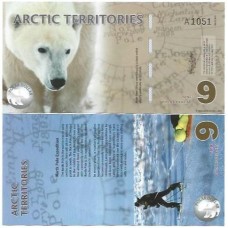 Ártico 9 Polar 2012 FE Polím
