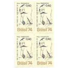 1S - SC C-0855 Qdr Cent Raul Pederneiras 1974 Mint